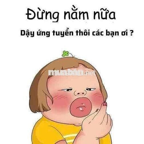TUYỂN ĐỒNG ĐỘI NET CAT LEGEND