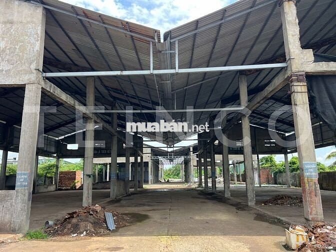 Kho xưởng bãi, văn phòng, khuôn viên 7.000 m² Quốc Lộ 91, lộ Container