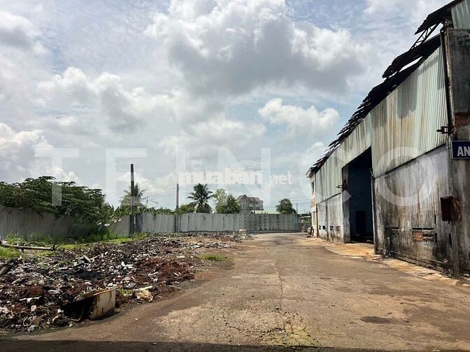 Kho xưởng bãi, văn phòng, khuôn viên 7.000 m² Quốc Lộ 91, lộ Container
