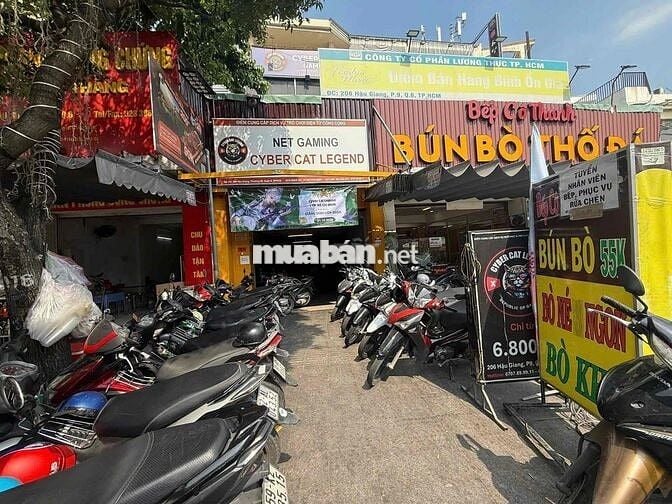 TUYỂN ĐỒNG ĐỘI NET CAT LEGEND