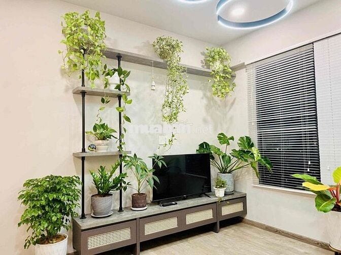 🎉 Đầu Th8 Vào Ở 56m Full NT Chốt Cọc Giữ Căn 10Triệu tại Akari City