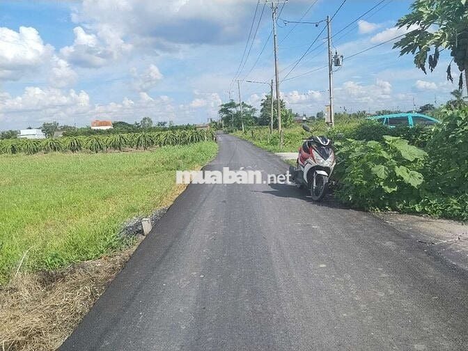 bán lô đất shr full thổ cư 5x30 