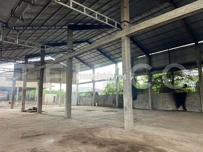 Kho xưởng bãi, văn phòng, khuôn viên 7.000 m² Quốc Lộ 91, lộ Container