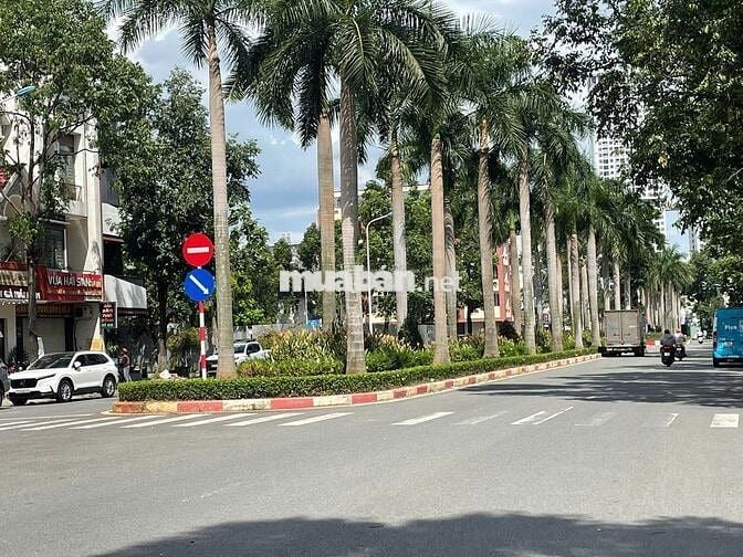 Cho thuê Nhà Nguyên căn MT đường GS làm văn phòng
