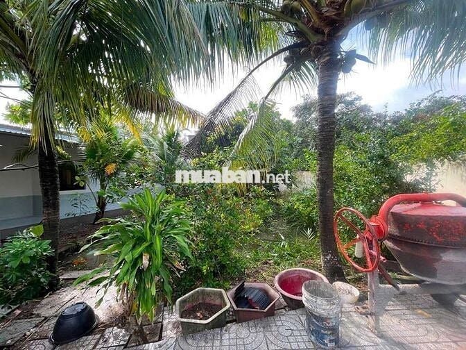 Nhà sân vườn nghĩ dưỡng 300m2 mới đẹp ô tô tới nhà