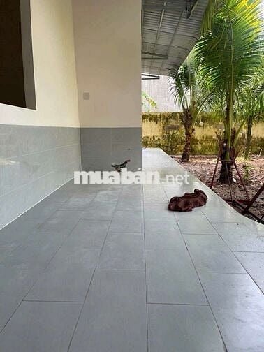 Nhà sân vườn nghĩ dưỡng 300m2 mới đẹp ô tô tới nhà