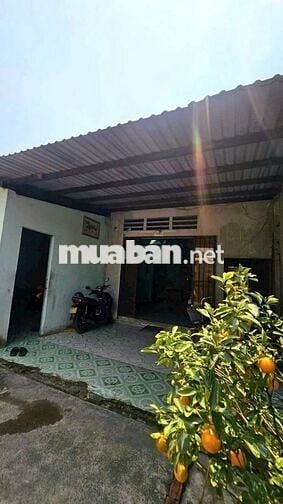  2 GIAN NHÀ CẤP 4 – 271M² – GẦN CHỢ ĐẦU MỐI HÓC MÔN – CHỈ 8 TỶ