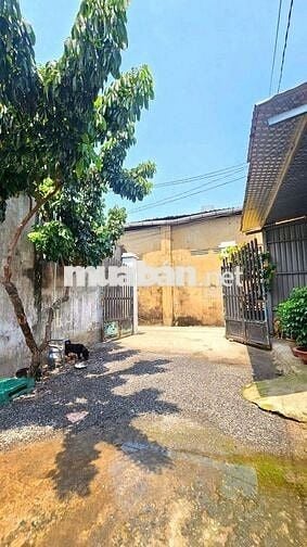  2 GIAN NHÀ CẤP 4 – 271M² – GẦN CHỢ ĐẦU MỐI HÓC MÔN – CHỈ 8 TỶ