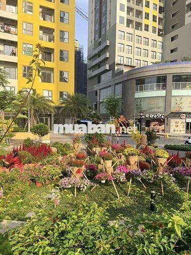 [ĐẾM NGƯỢC 15 SUẤT CUỐI] NHẬN ƯU ĐÃI 6TR2/THÁNG TẠI BCONS CITY