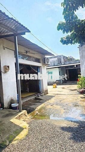  2 GIAN NHÀ CẤP 4 – 271M² – GẦN CHỢ ĐẦU MỐI HÓC MÔN – CHỈ 8 TỶ