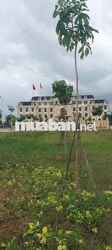 THỦ THỪA, TÂY NINH ( LONG AN cũ). 3 triệu/m2, cách TT Hành chính 6km 