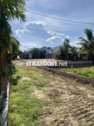 Đất diện tích lớn 100% đất nhà ở