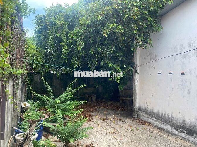 Bán đất tặng nhà mặt tiền chợ 247,3 m2, DT sử dụng thực tế hơn 300m2
