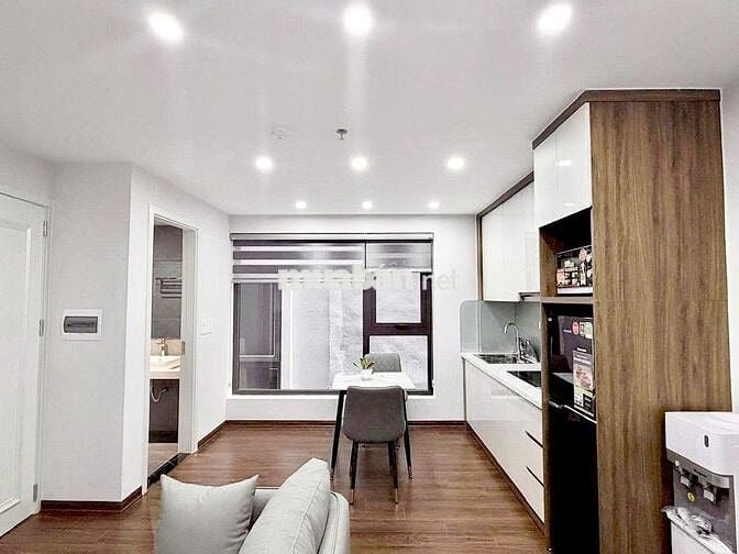 CĂN HỘ 1N1-2N1K FULL NỘI THẤT MỚI KIM MÃ, LOTTE LIỄU GIAI BA ĐÌNH 