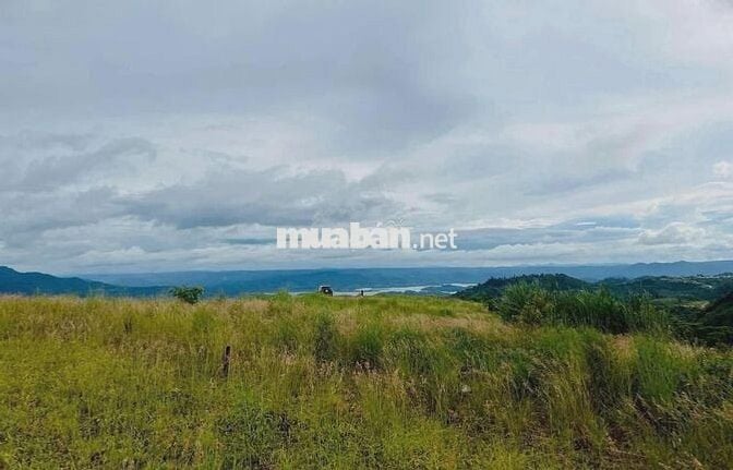 ĐẤT CỬA NGÕ TÀ ĐÙNG - 695M² - MẶT TIỀN 10M - 100M² ĐẤT Ở
