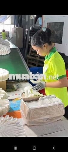 TUYỂN LDPT CÔNG TY MUỖNG NHỰA WELL HOME 