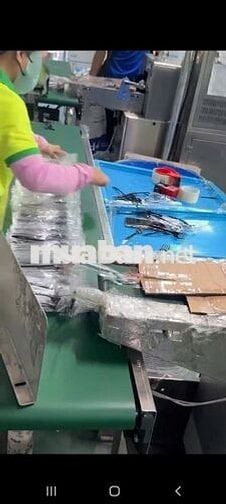 TUYỂN LDPT CÔNG TY MUỖNG NHỰA WELL HOME 