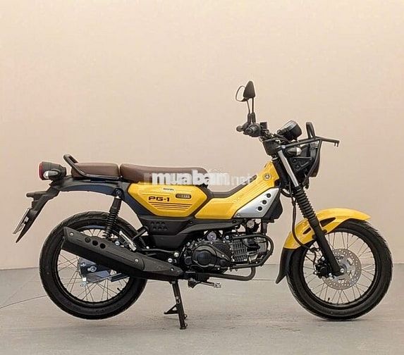 Yamaha PG-1 2024 Vàng 3500 km