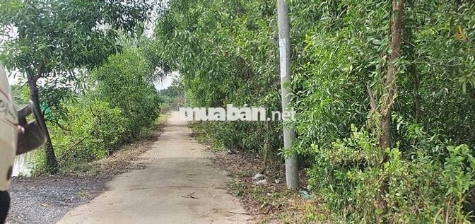 TUYỂN NGƯỜI LÀM VƯỜN LƯƠNG LIỀN ĐI LÀM NGAY