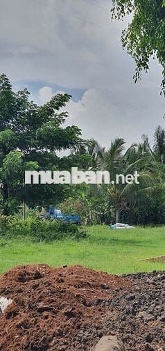 TUYỂN NGƯỜI LÀM VƯỜN LƯƠNG LIỀN ĐI LÀM NGAY