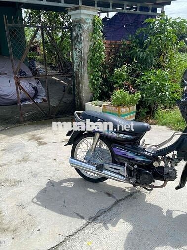 Honda Dream lùn Đen Xăng
