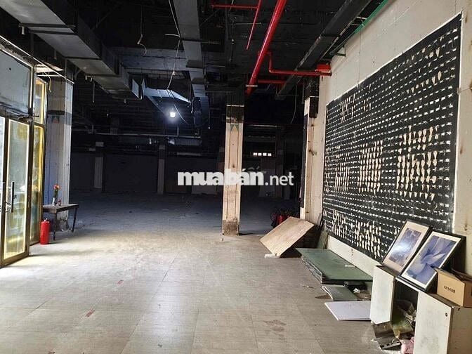 Toà Parkson Đồng Khởi Lê Thánh Tôn Q1 diện tích: 900m2 Tầng 5  giá chà
