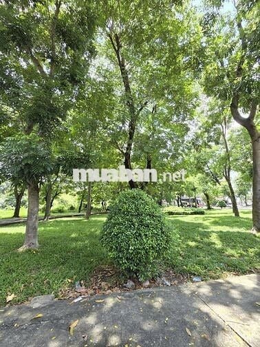 🏡 MẶT TIỀN BP2 – VỊ TRÍ ĐẸP, GIÁ TỐT CHỈ 7.3 TỶ 🔥