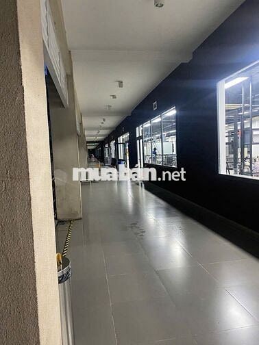  TUYỂN 05 NHÂN VIÊN PHỤ VỆ SINH MÁY LẠNH (THỜI VỤ)