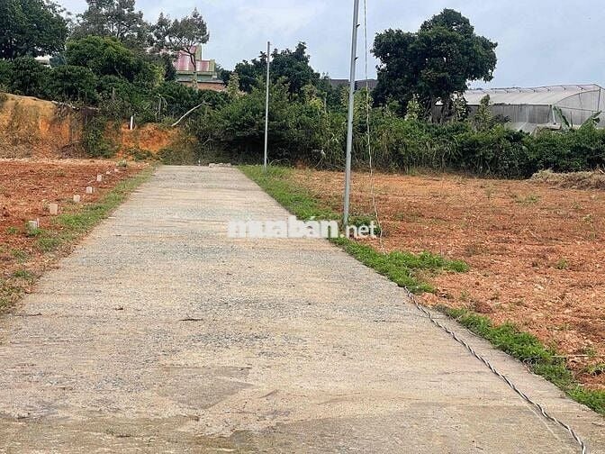 chỉ 469tr anh chị đã sở hữu đất ven Đà Lạt