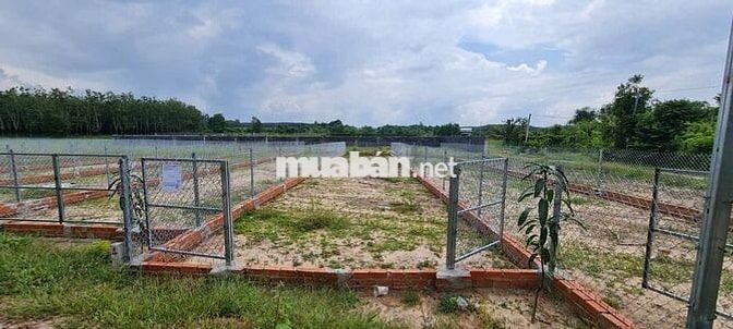Lô đất 205 triệu sổ hồng riêng xã Hảo Đước, Châu Thành, Tây Ninh