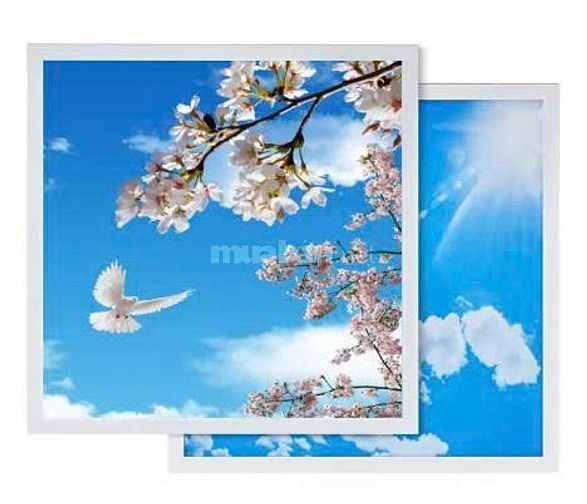 Báo Giá Đèn Led Panel 600x600 Giá Rẻ