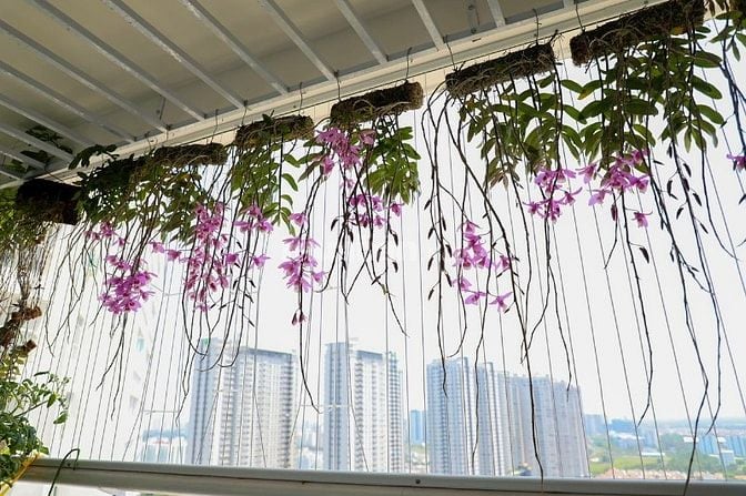 Căn hộ Hoàng Anh Thanh Bình, Q.7, đường D4, P.Tân Hưng, 150m2, 15tr