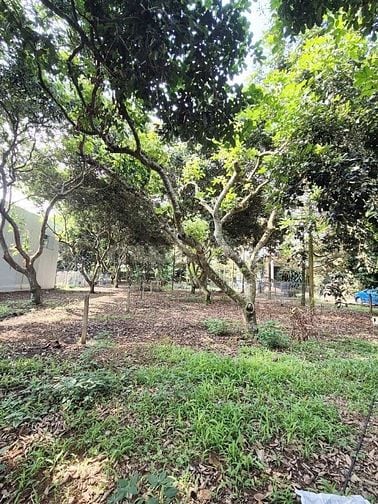 BÁN ĐẤT GIÁ TỐT LONG KHÁNH – ĐẦU TƯ SINH LỜI NGAY