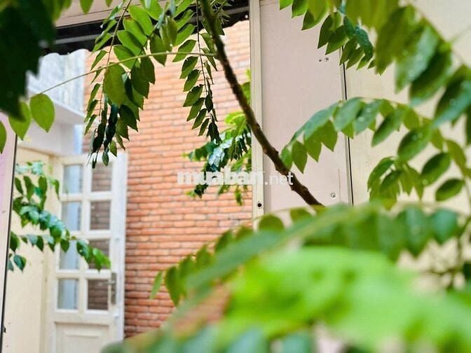 Chính chủ cho thuê nhà có sân vườn xinh sau lưng chung cư Citi Graden