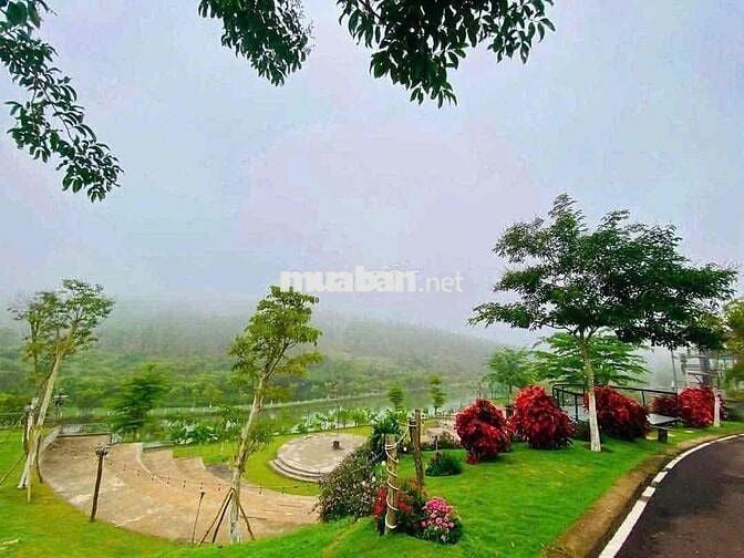 600 Triệu Sở Hữu Ngay Đất Nghỉ Dưỡng TP. Bảo Lộc, Sổ Sẵn, Công Chứng