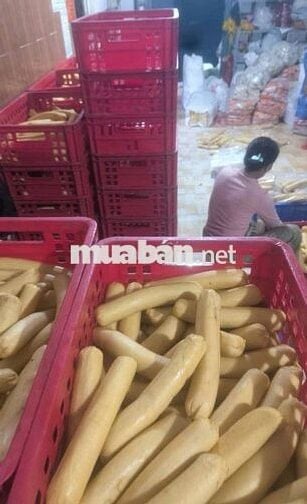 Tuyển 3 Nam làm giò chả 