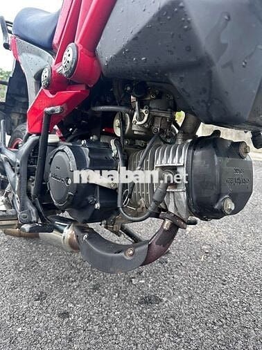Ducati 110cc 2018 Đỏ