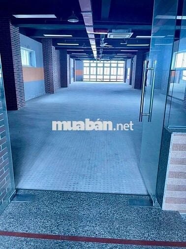 🔥 CHO THUÊ TÒA NHÀ MẶT TIỀN LỚN – LÊ VĂN KHƯƠNG, QUẬN 12