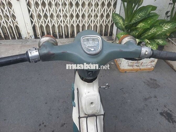Honda Cub 50 Xanh Trắng