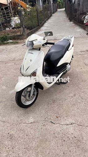 Honda Lead 2024 Trắng