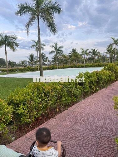 CHÍNH CHỦ BÁN LÔ ĐẦM SEN GIÁ TỐT