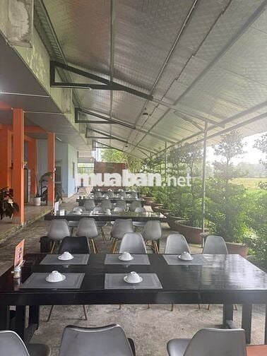 Tuyển dụng 1 bếp chính