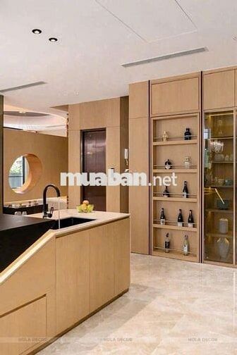 🔰CHO THUÊ BIỆT THỰ MỸ GIANG PHÚ MỸ HƯNG Q7