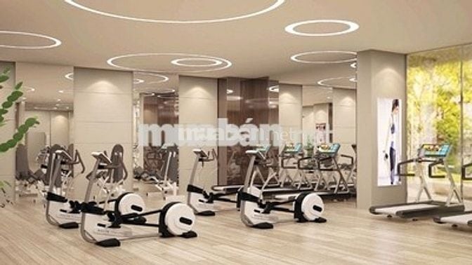 Cho thuê Midtown M8 2pn giá tốt 미드타운 M8 2베드룸 아파트를 좋은 가격에 임대