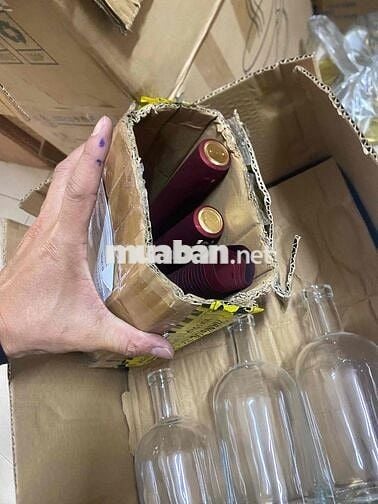 Tuyển NVGH bằng xe máy