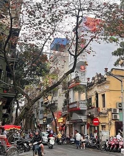 Lô đất Siêu Hiếm vị trí đắc địa phố Nhà Chung-Nhà Thờ Lớn kd đỉnh