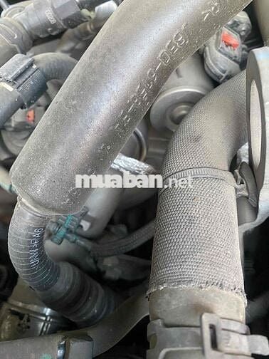 Ford Ranger Wildtrak 2020 Tự động Trắng