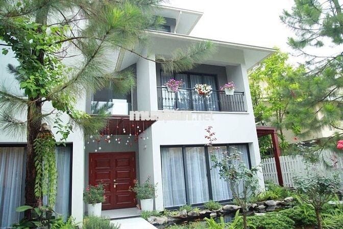 Biệt thự đơn lập Vườn Mai Ecopark siêu đẹp