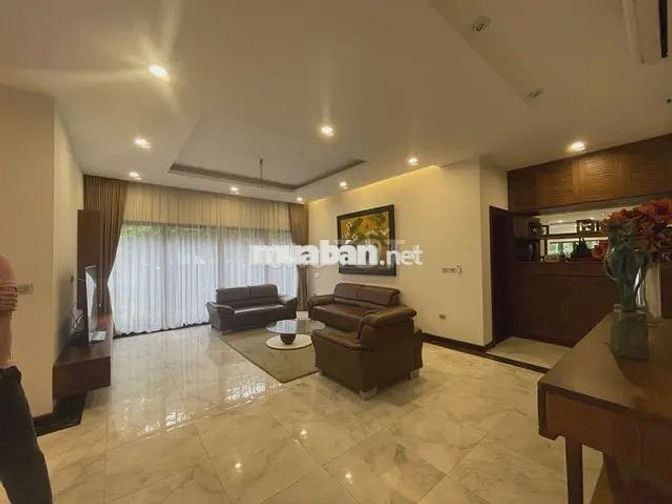 Biệt thự đơn lập Vườn Mai Ecopark siêu đẹp