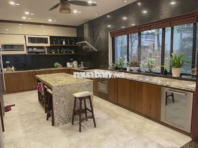Biệt thự đơn lập Vườn Mai Ecopark siêu đẹp